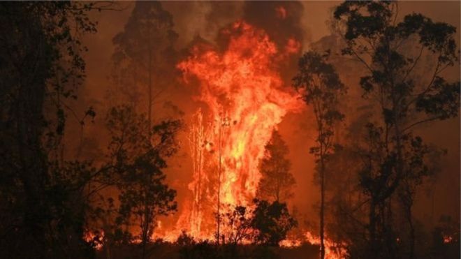 Fierce fire in Australia's forests, three killed