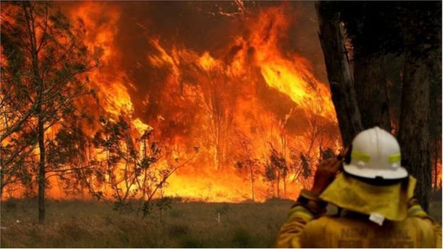 Fierce fire in Australia's forests, three killed