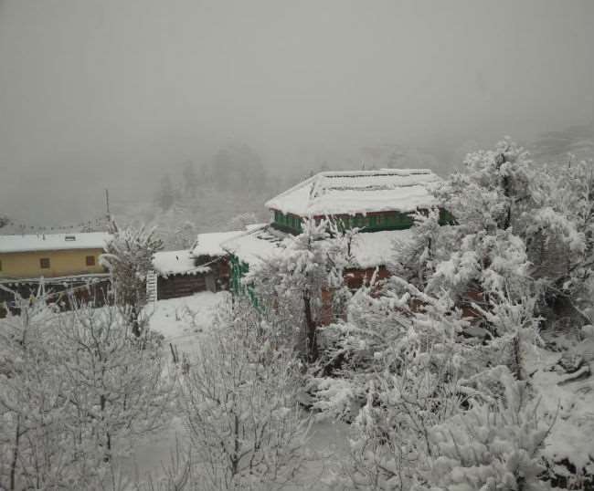 Himachal Weather