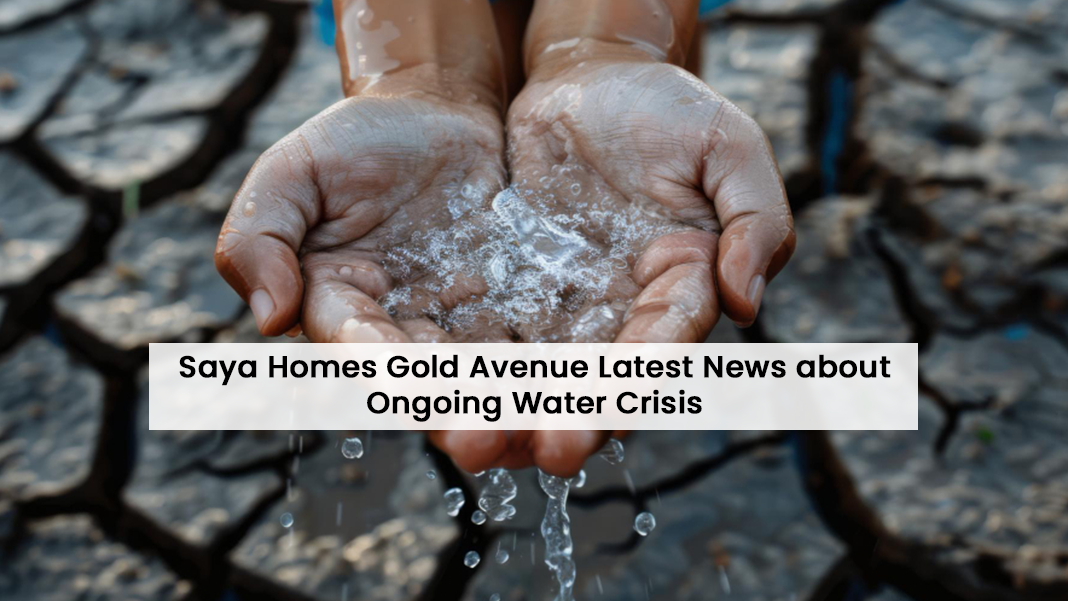 Saya Homes Gold Avenue news